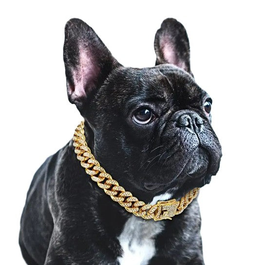 Necklace Sparkling Rhinestone Chain