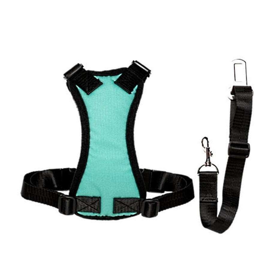 Car Harness with Restraint Belt