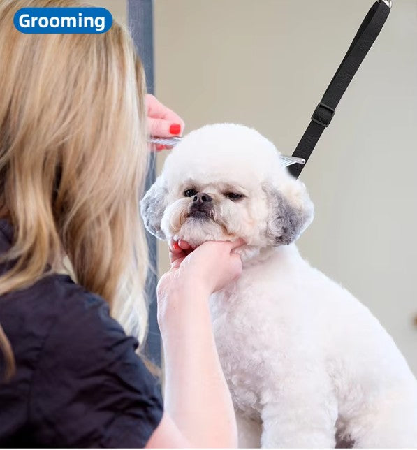 Dog being groomed by a person with a grooming tool, labeled 'Grooming'.