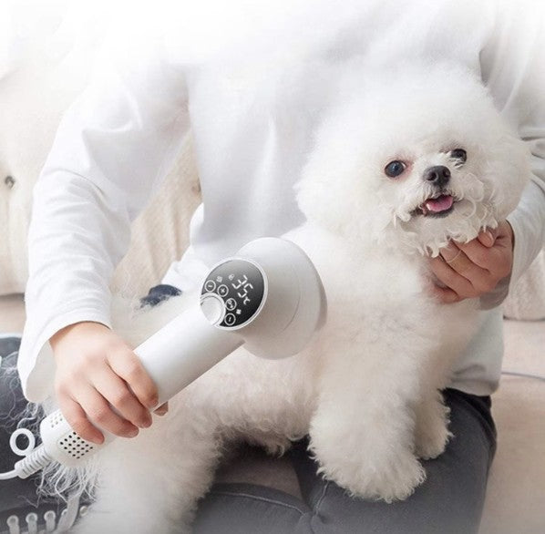 Person using a white grooming tool on a small white dog