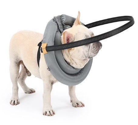 Vision Support Halo Harness