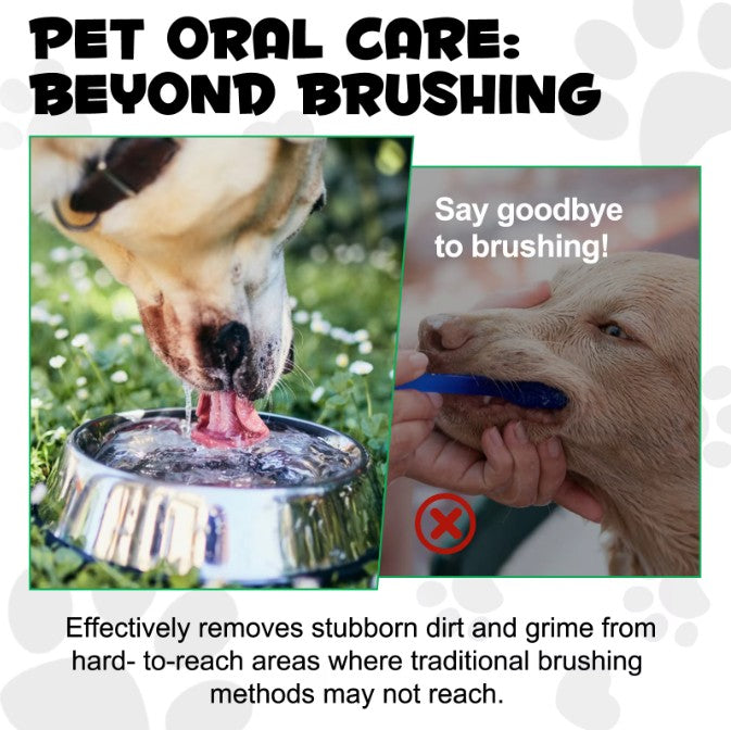 Canine Dental Solution