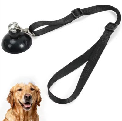 Dog training bell with leash and a dog sitting next to it on a white background