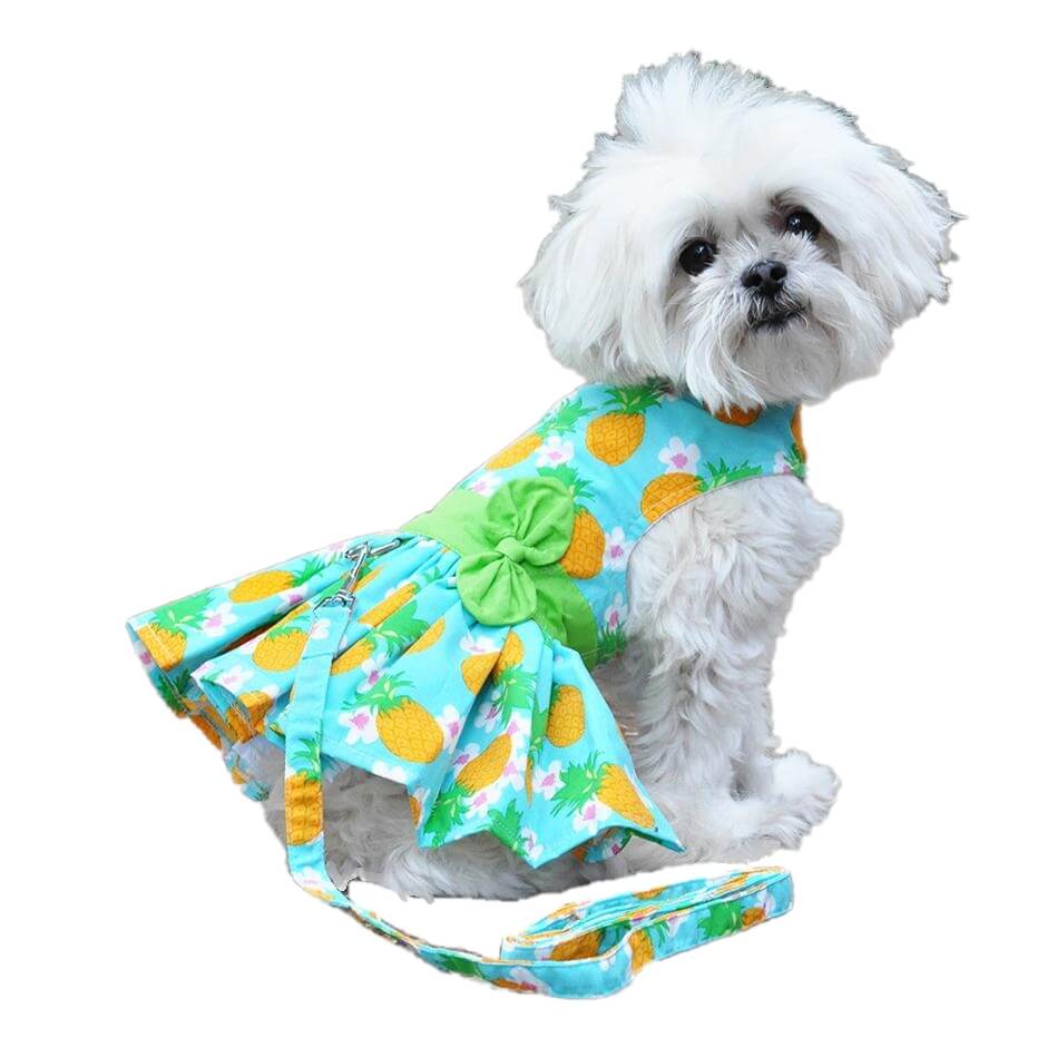 Dress Aqua Tropicana with Matching Lead