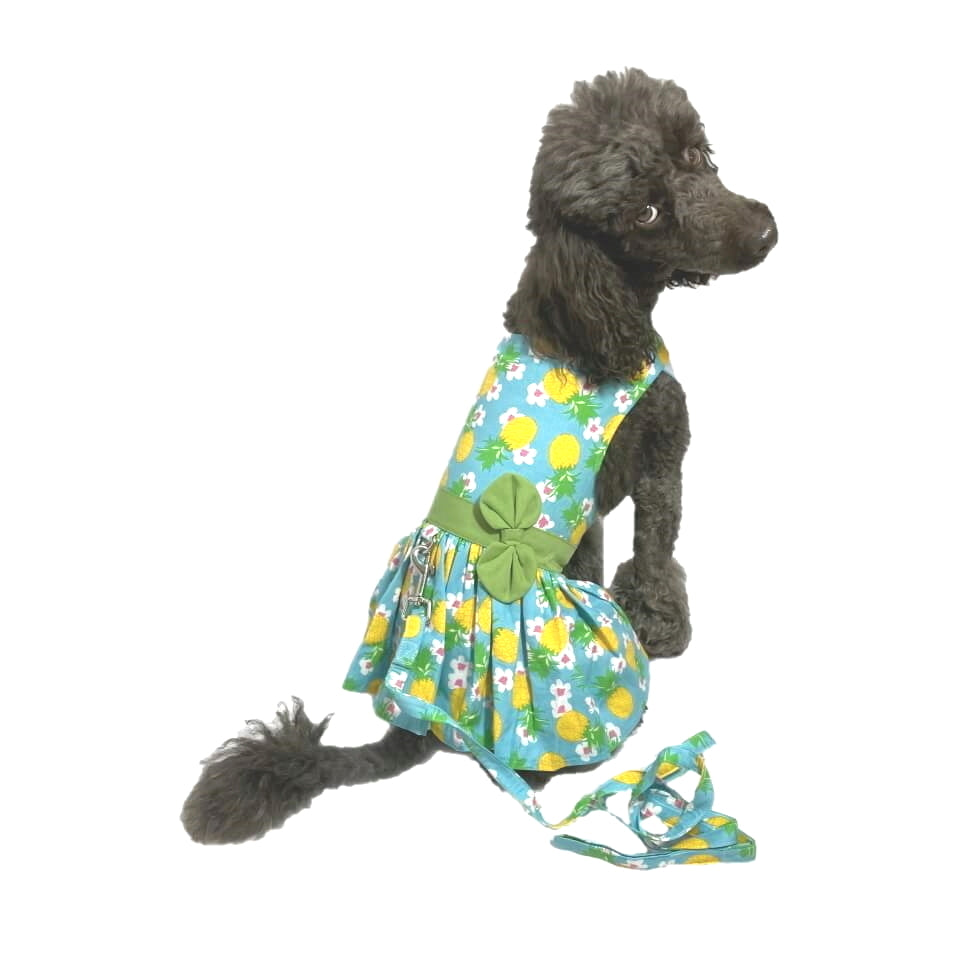 Dress Aqua Tropicana with Matching Lead