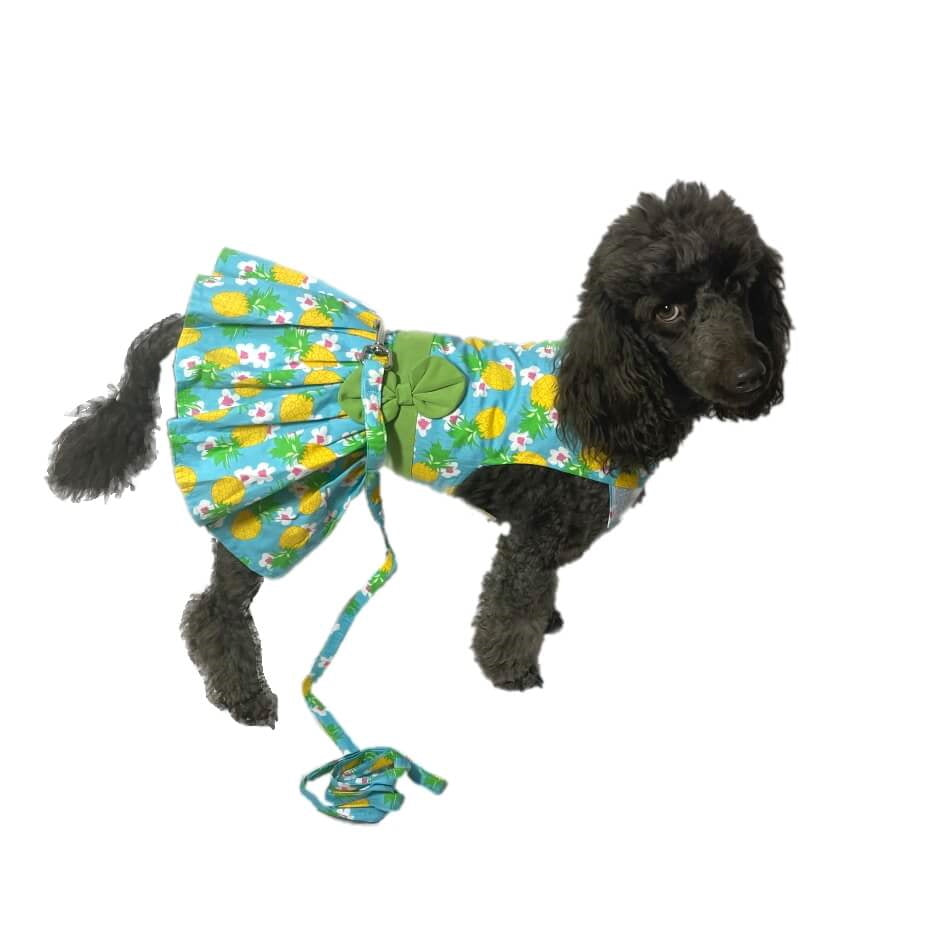 Dress Aqua Tropicana with Matching Lead