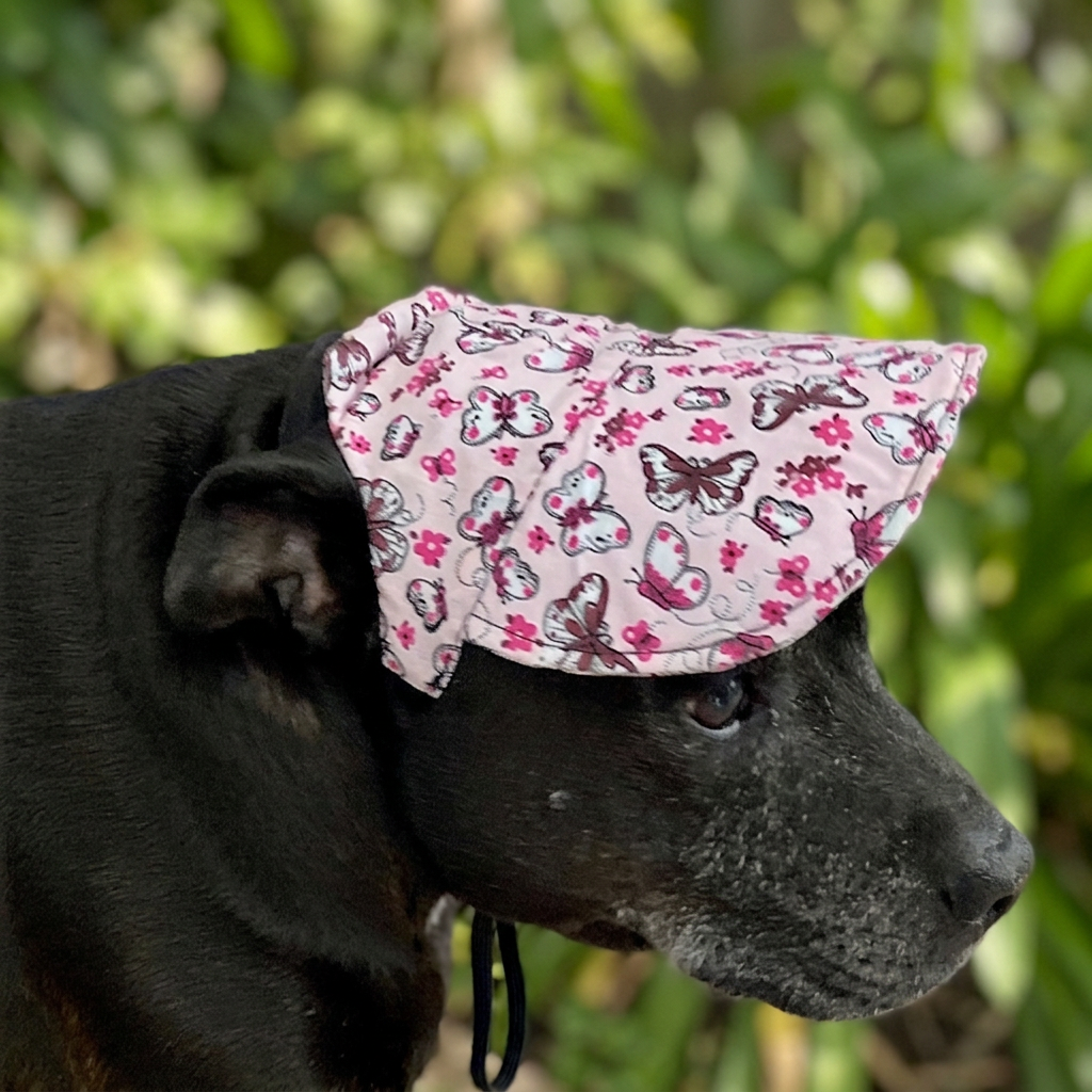 Hat Cap with Chin Strap