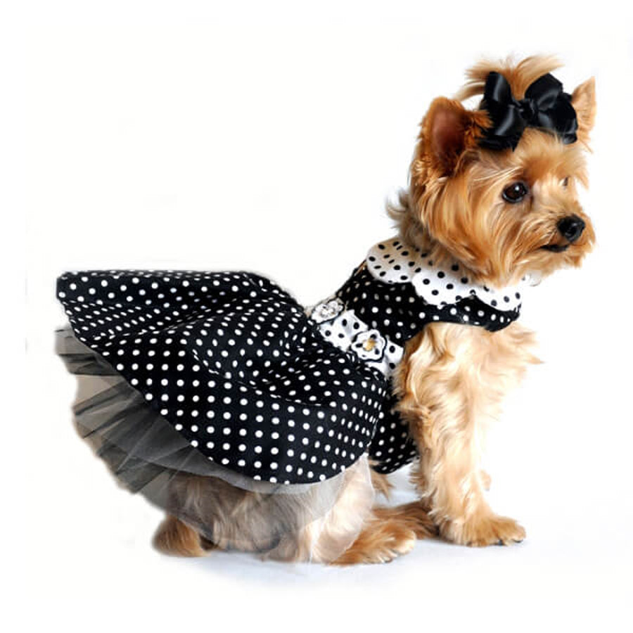 Dress Black Polka Dot with Matching Lead