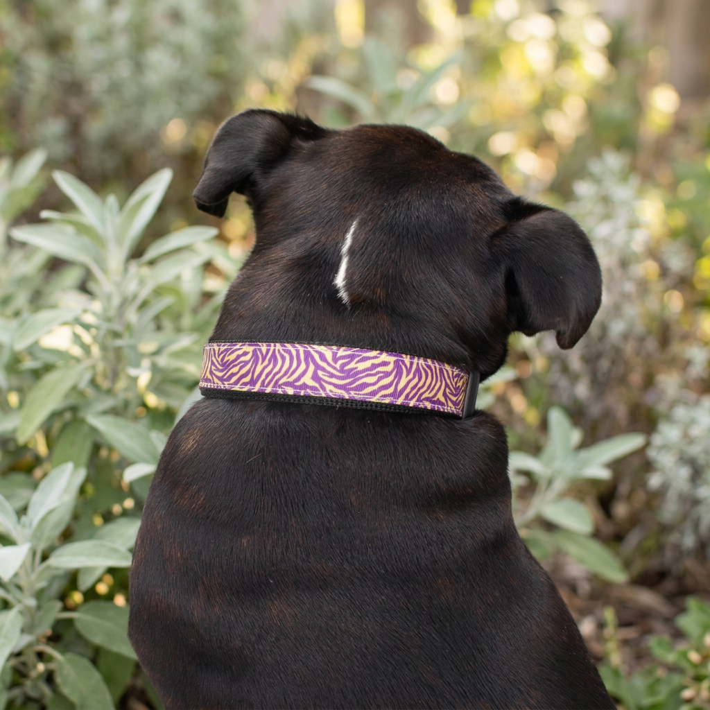Collar or Lead Nylon Purple Tiger
