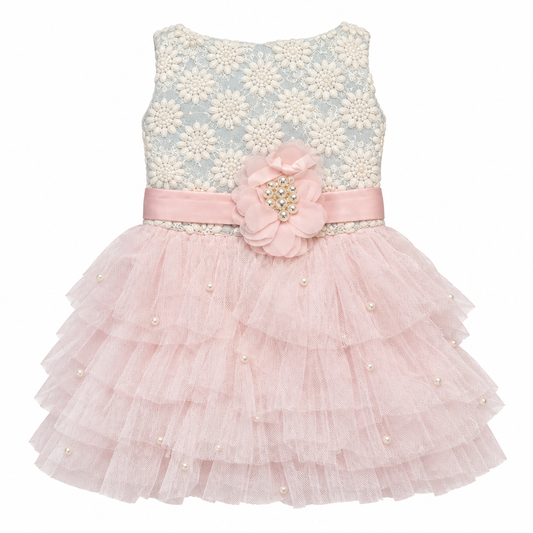 Dress Formal Sparkly Silver Pink Sash and Pearls