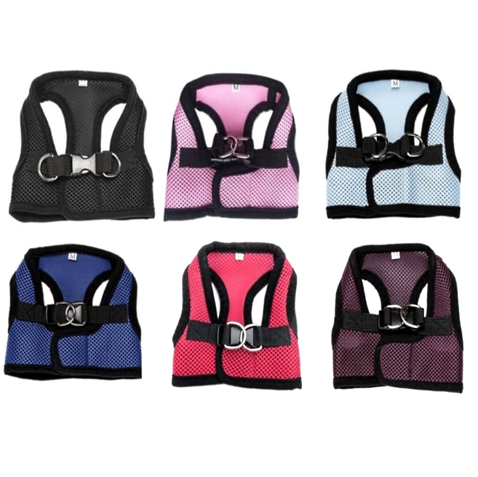 Mesh Harness