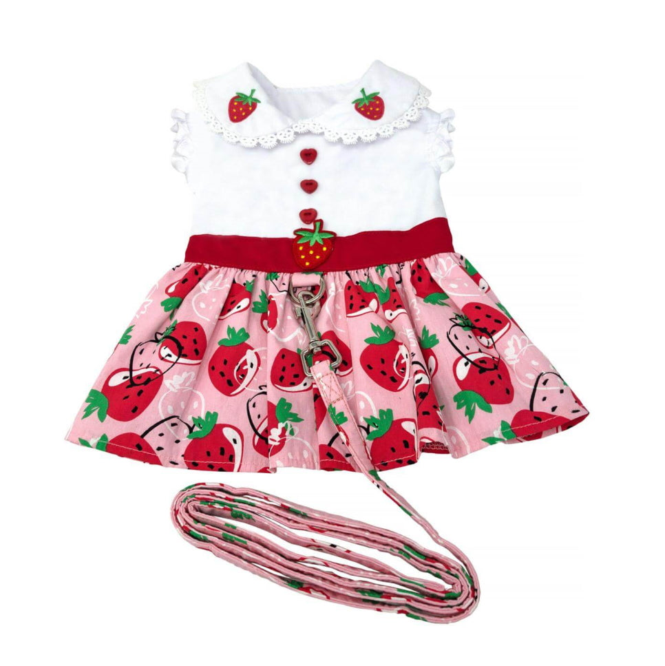 Dress Pink Strawberry Patch with Matching Lead