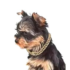 Necklace Sparkling Rhinestone Chain