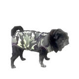 Dog Medical Recovery Jumpsuit Camo