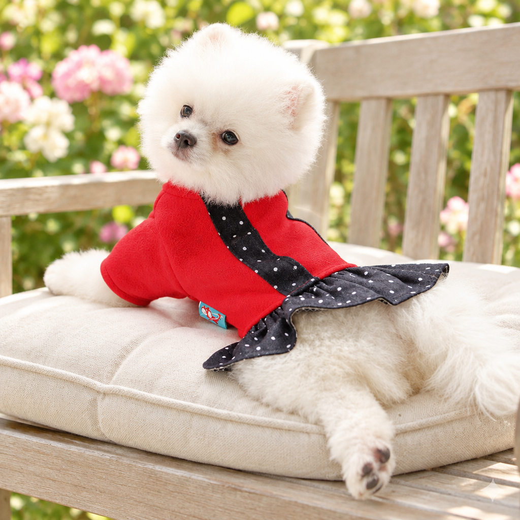 Dress Retro Red Fleece