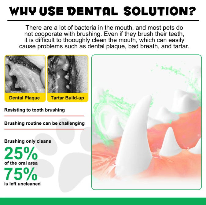 Canine Dental Solution