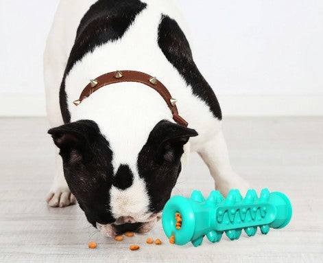 5-in-1 Chew Toy - assorted colours